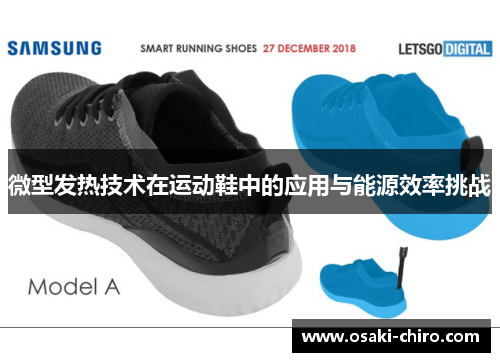 微型发热技术在运动鞋中的应用与能源效率挑战